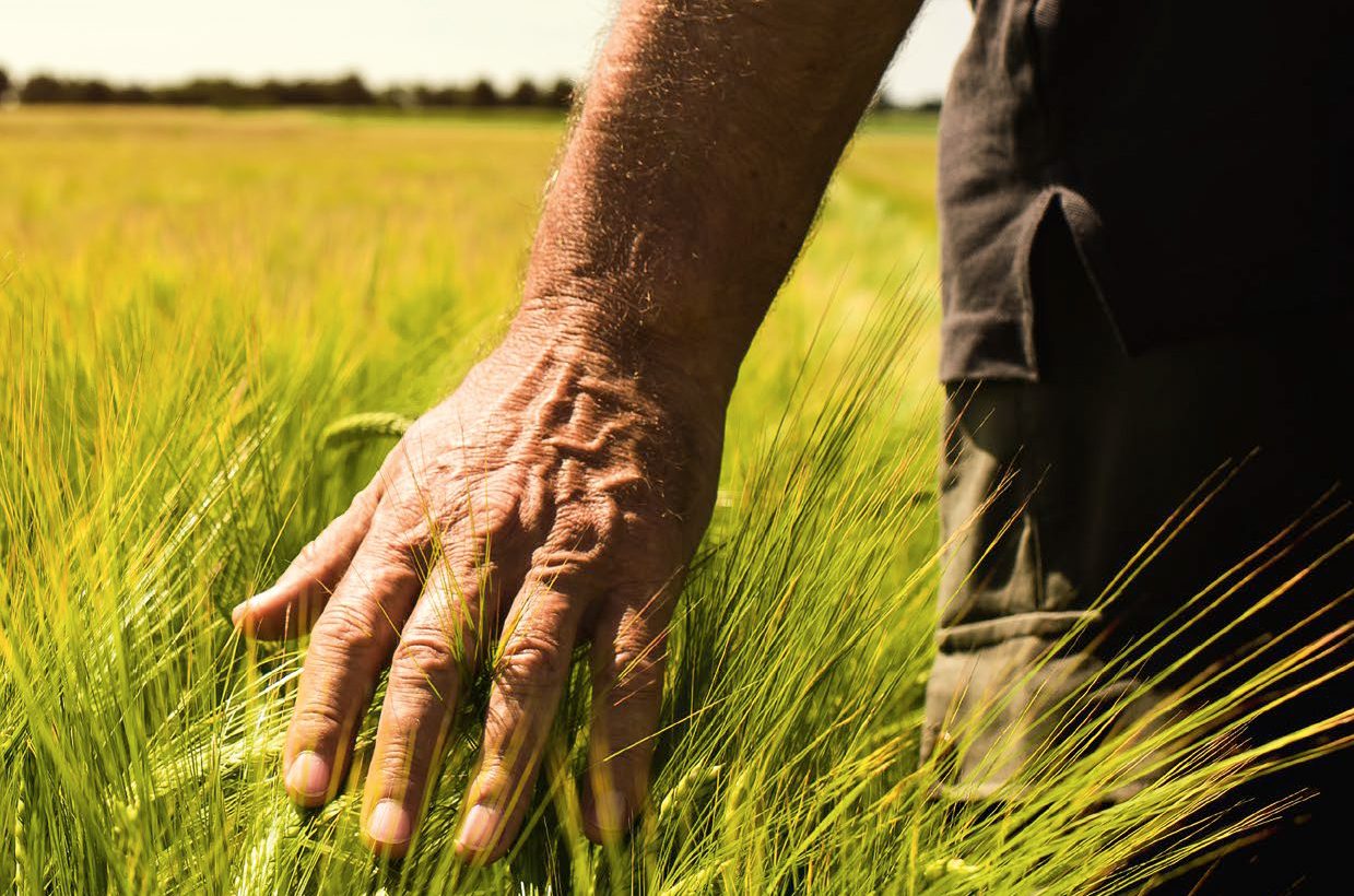 Soil provides nurture and nourishment, changing with the weather and the seasons. 