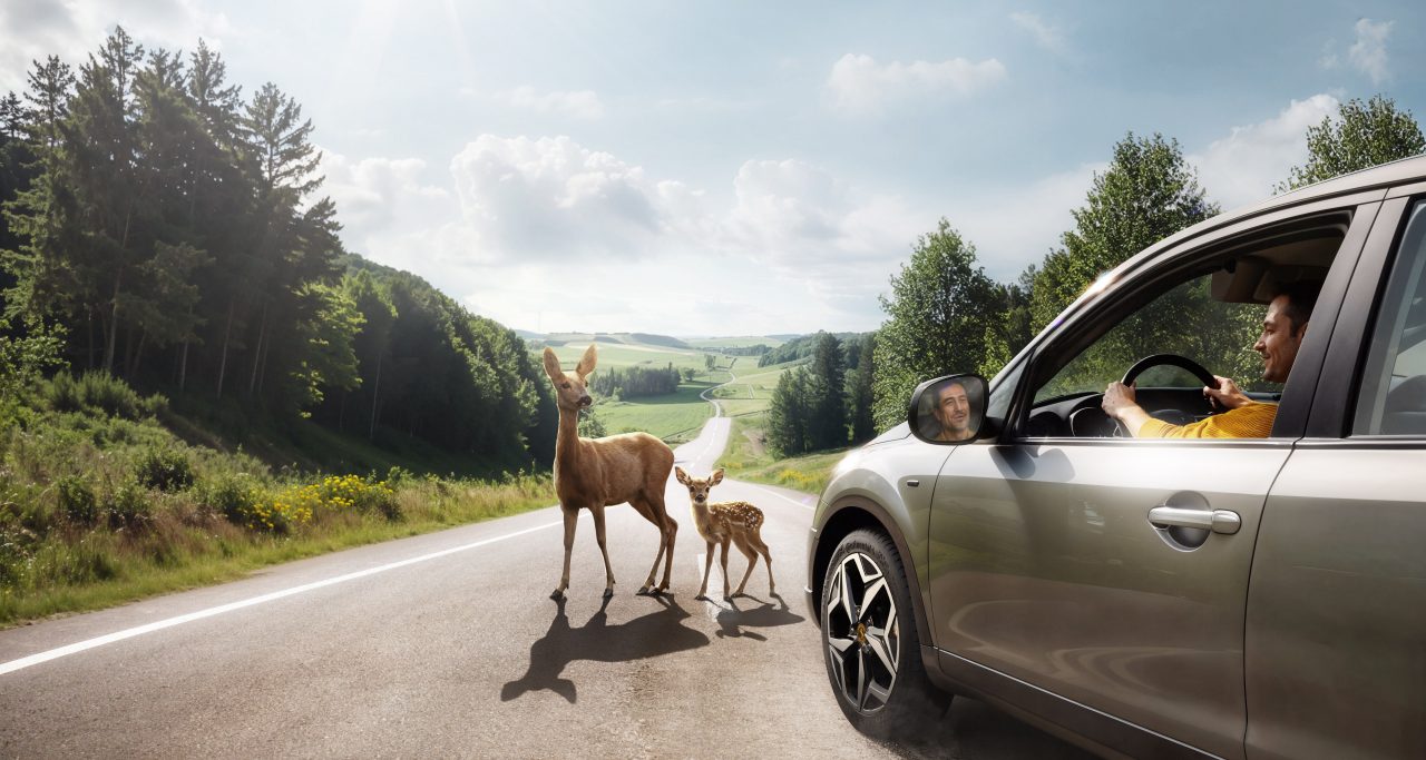 Sustainable Tires