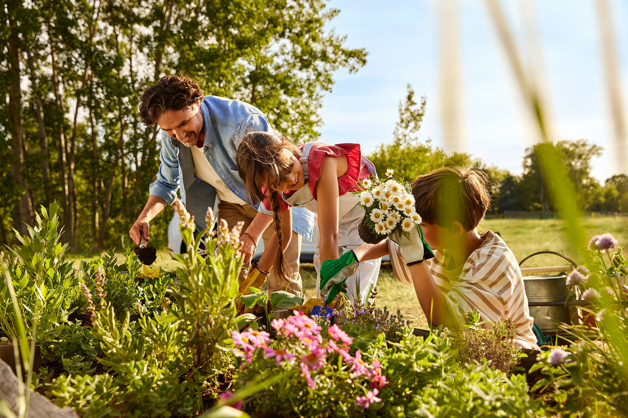 Transportes público