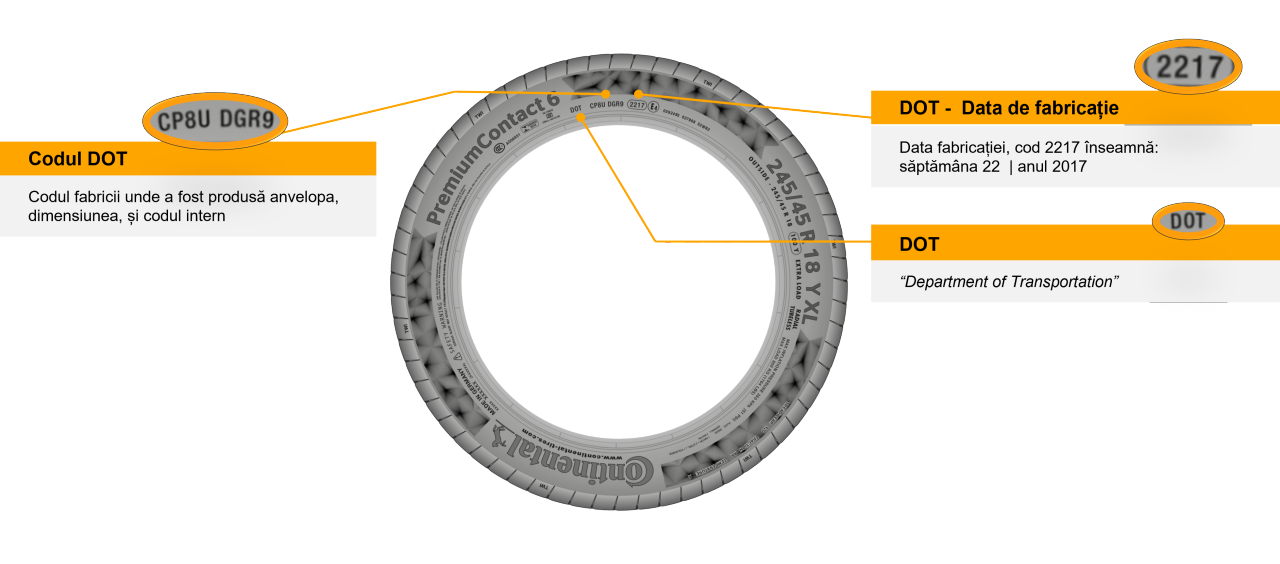 Vârsta anvelopelor și codul DOT | Infografic | Continental Anvelope