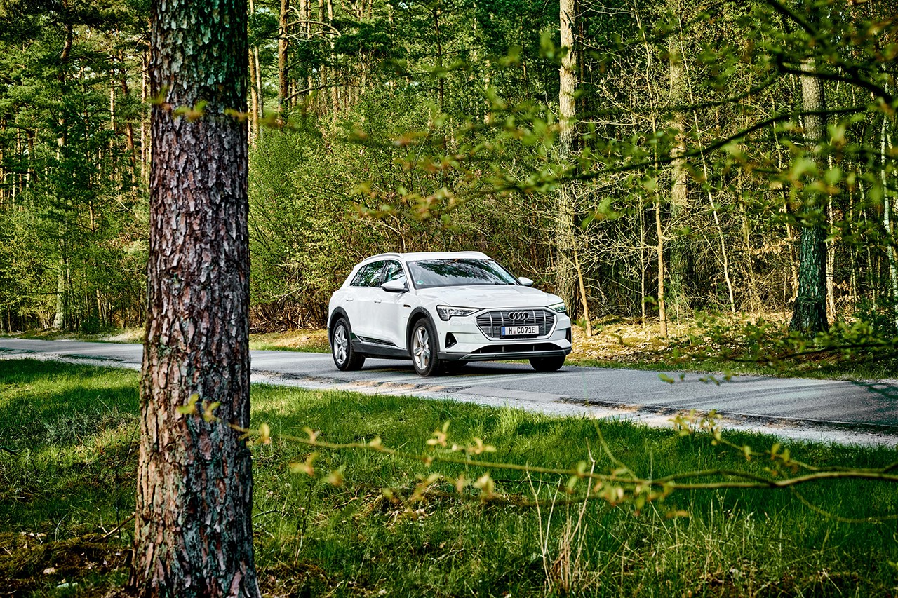 Car driving in the wood.