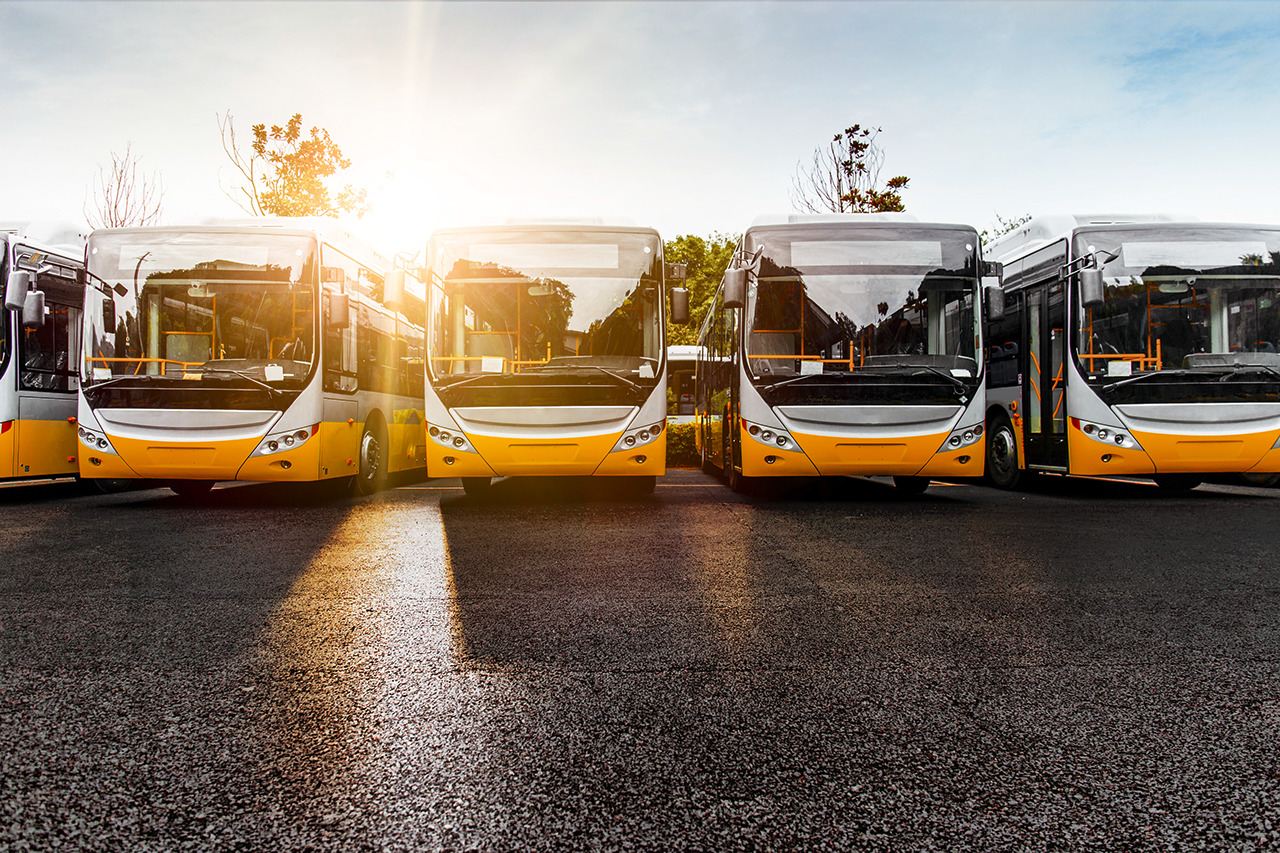 A large number of new electric buses parked in the parking lot