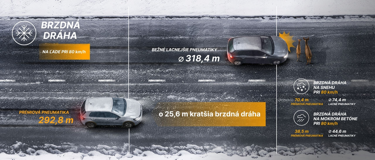 brzdna_draha_zimne_continental