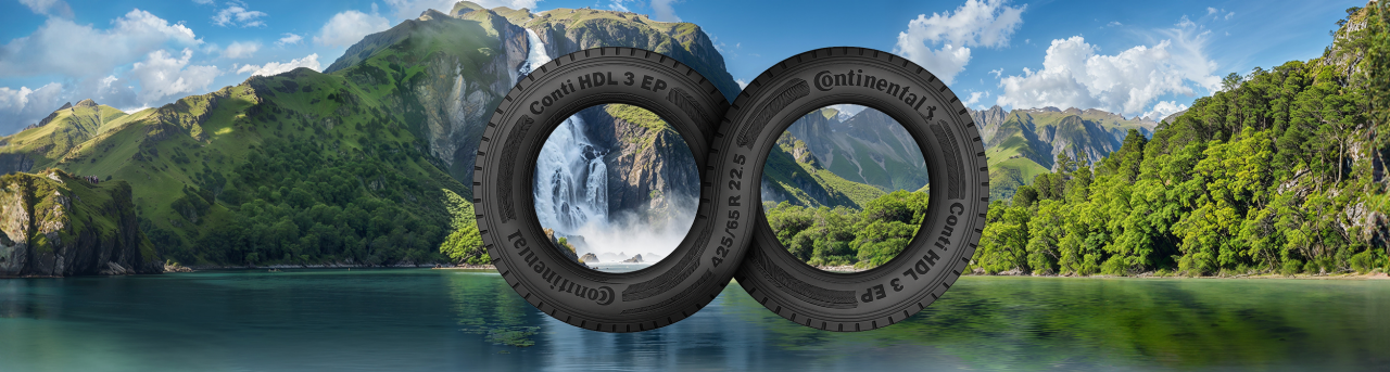 Tire figure eight on a tropical background