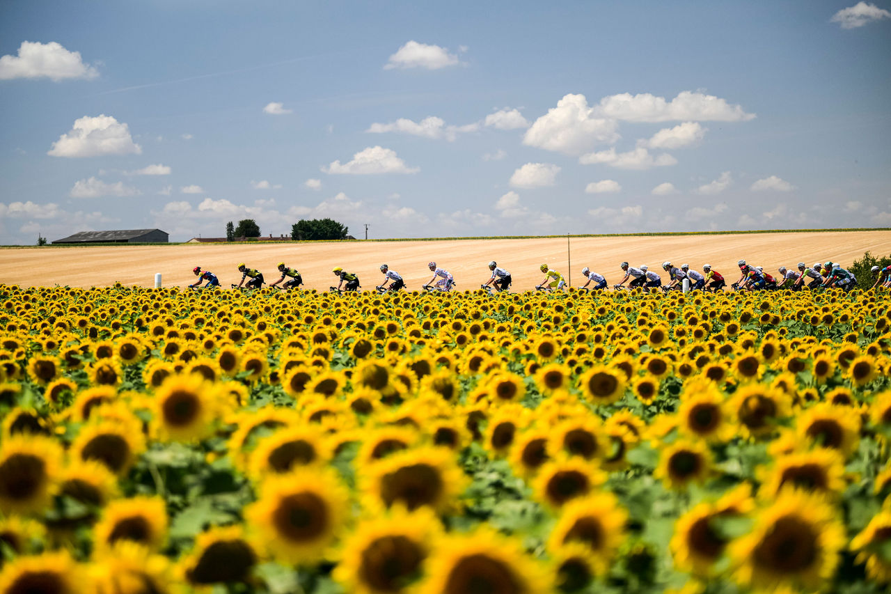 Tour de France Highlight 2025